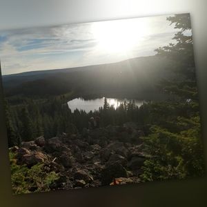 Meet your Posher, Lola